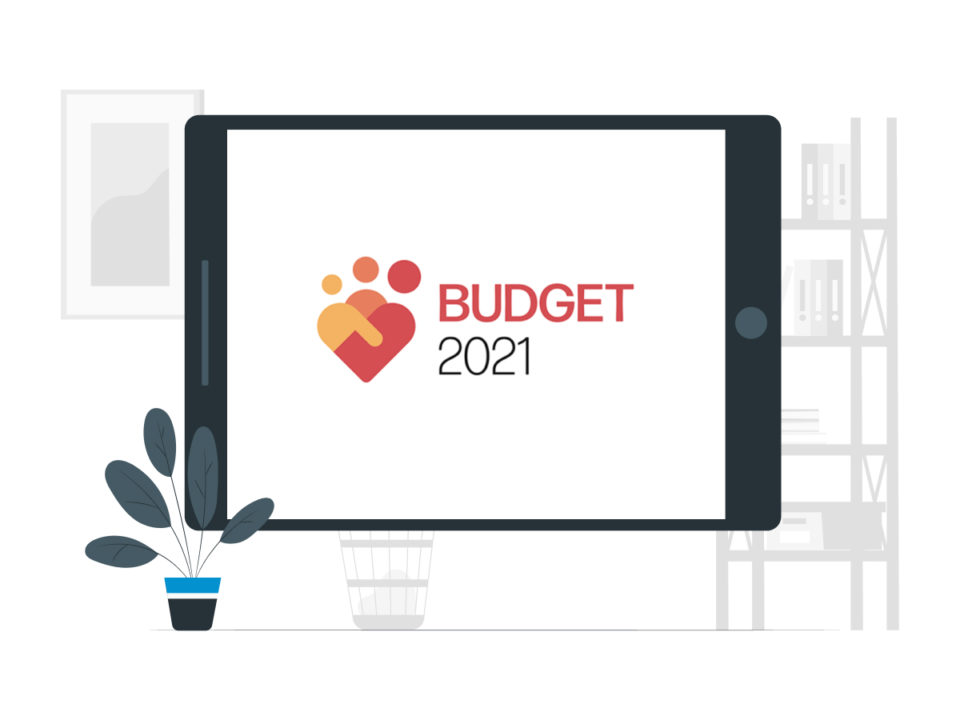 Budget 2021 graphic